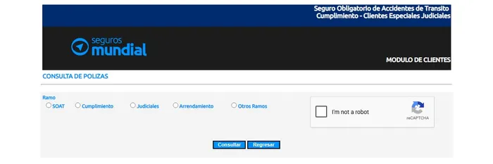 Formulario de consulta de SOAT de Seguros Mundial